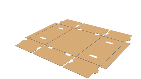 Self-locking tabs display tray - Méca-Système Machinery