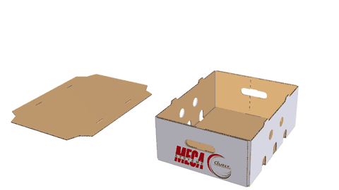 U- or X-shaped glued lid on corrugated case - Méca-Système